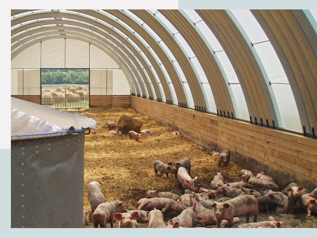 Строительство свинарников в Кандалакше