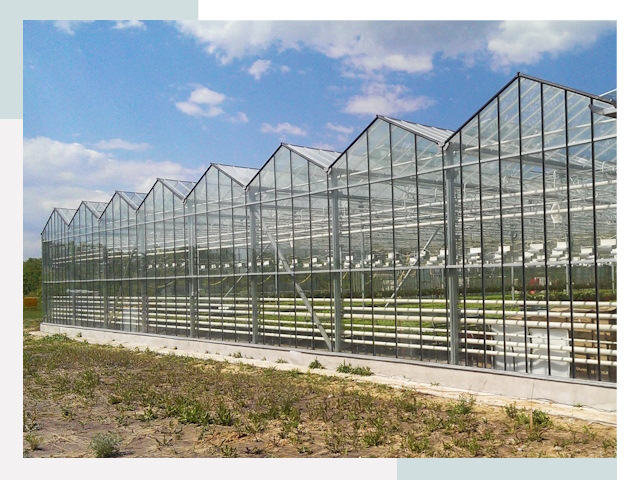 Строительство теплиц в Кандалакша от 606 руб. за м²