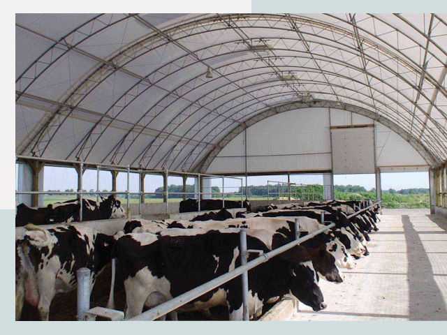 Тентовые коровники в Кандалакше